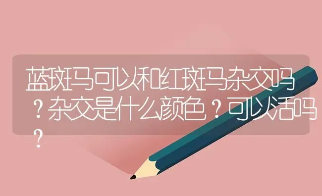 蓝斑马可以和红斑马杂交吗？杂交是什么颜色？可以活吗？ | 鱼类宠物饲养