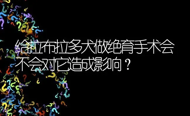 给拉布拉多犬做绝育手术会不会对它造成影响？ | 动物养殖问答