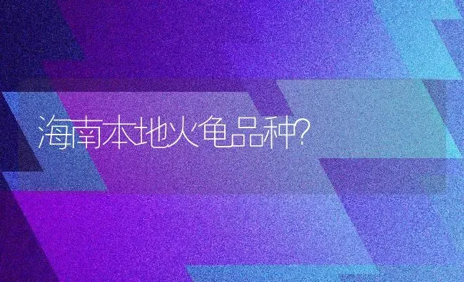 海南本地火龟品种？ | 动物养殖问答