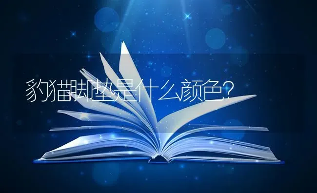 问下，三个多月的比熊有没有尴尬期？ | 动物养殖问答