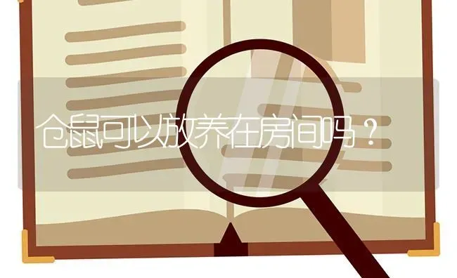 仓鼠可以放养在房间吗？ | 动物养殖问答