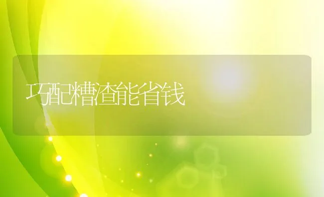 保育猪饲养管理中值得反省的4个问题 | 动物养殖饲料