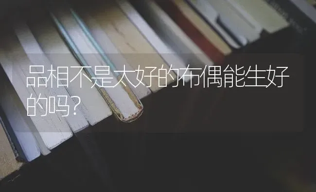 品相不是太好的布偶能生好的吗？ | 动物养殖问答