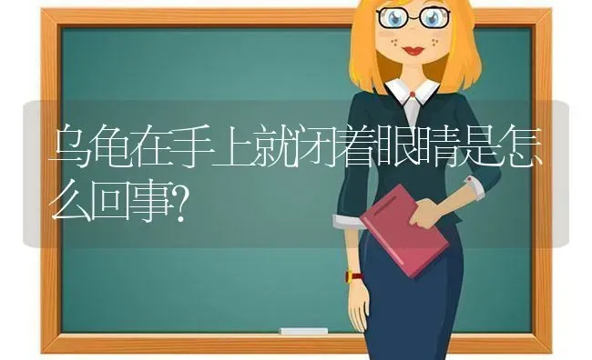 乌龟在手上就闭着眼睛是怎么回事？ | 动物养殖问答