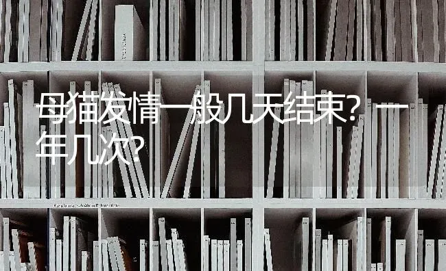 母猫发情一般几天结束？一年几次？ | 动物养殖问答