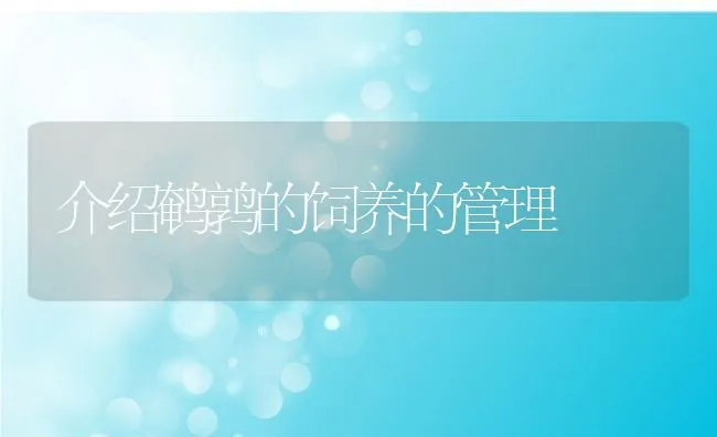 几种禽类促生长和保健类添加剂的介绍 | 水产养殖知识