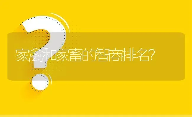 家禽和家畜的智商排名？ | 动物养殖问答