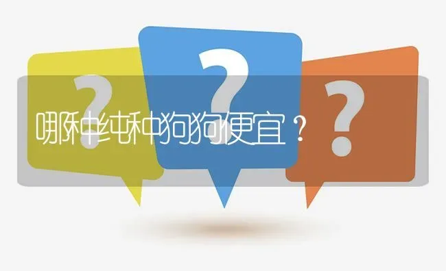 哪种纯种狗狗便宜？ | 动物养殖问答