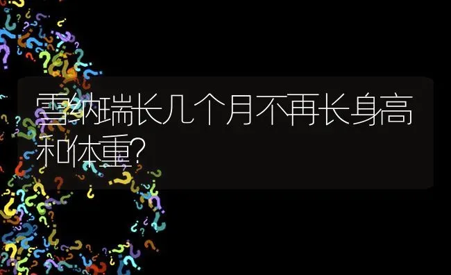 雪纳瑞长几个月不再长身高和体重？ | 动物养殖问答