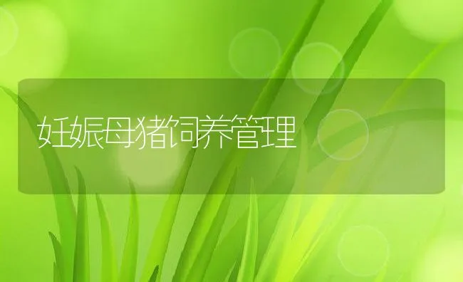 山区库区鮰鱼高效养殖技术探讨 | 海水养殖技术