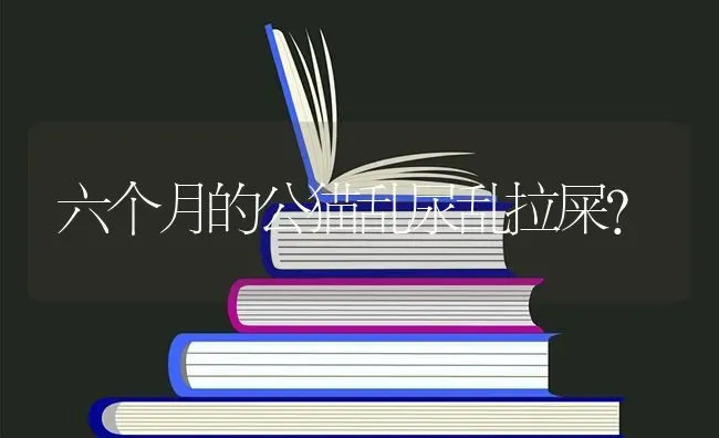 六个月的公猫乱尿乱拉屎？ | 动物养殖问答