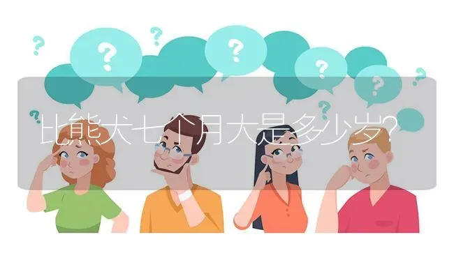 比熊犬七个月大是多少岁？ | 动物养殖问答