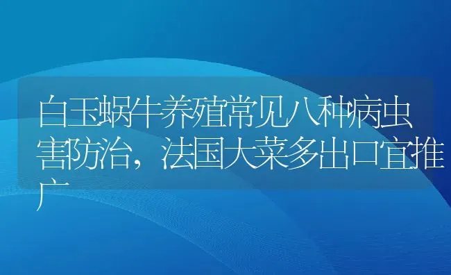 白玉蜗牛养殖常见八种病虫害防治，法国大菜多出口宜推广 | 动物养殖百科