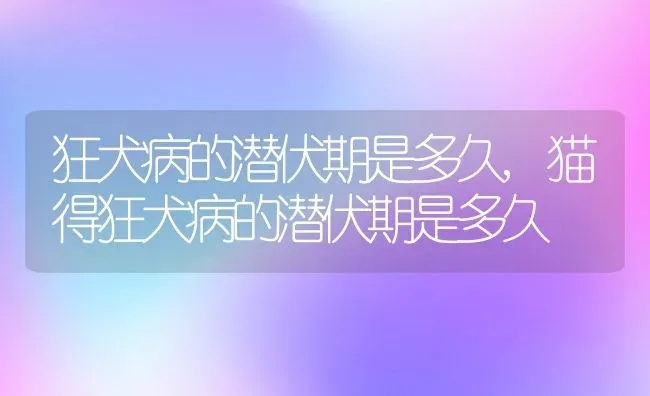 狂犬病的潜伏期是多久,猫得狂犬病的潜伏期是多久 | 宠物百科知识