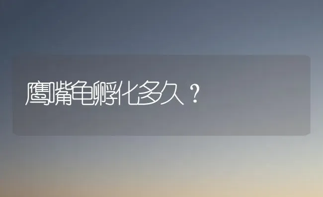 鹰嘴龟孵化多久？ | 动物养殖问答