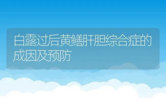 白露过后黄鳝肝胆综合症的成因及预防 | 动物养殖教程