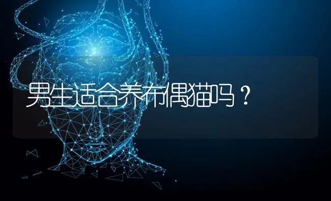 萨摩耶成年犬咬人是怎么回事？ | 动物养殖问答