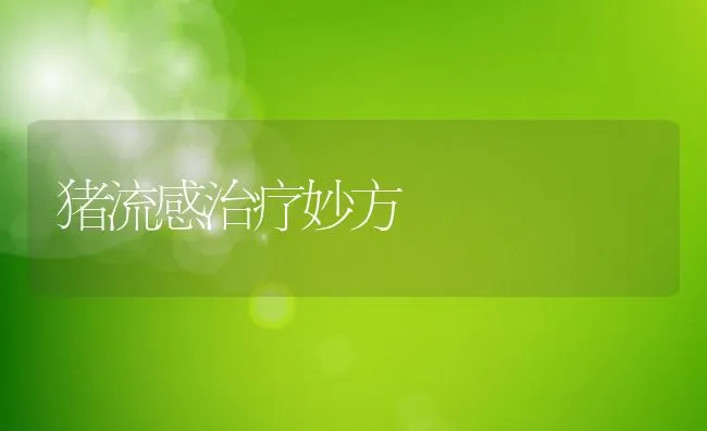 诺酮类抗生素的新进展 | 动物养殖学堂