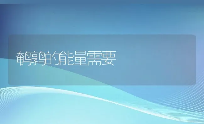 水产养殖贴士：泥鳅养殖的水质管理技术 | 海水养殖技术