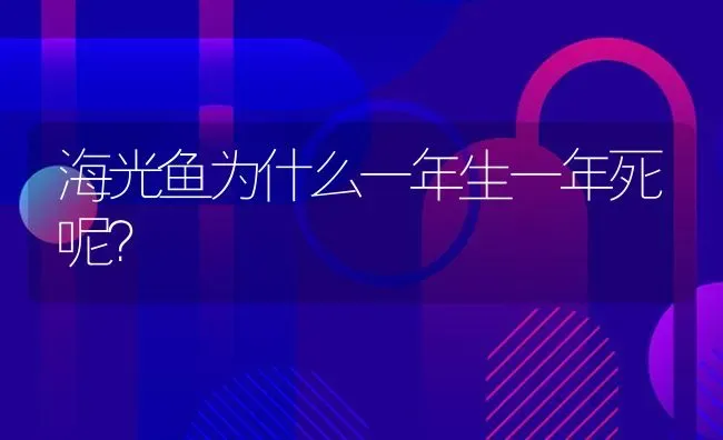 海光鱼为什么一年生一年死呢？ | 鱼类宠物饲养