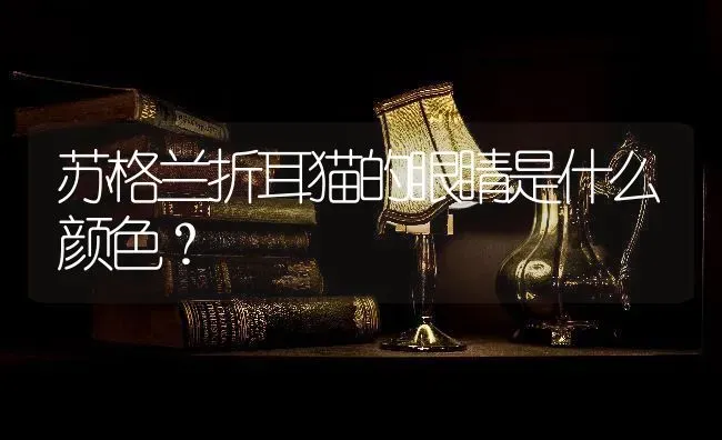 苏格兰折耳猫的眼睛是什么颜色？ | 动物养殖问答