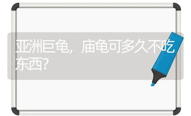 亚洲巨龟，庙龟可多久不吃东西？ | 动物养殖问答