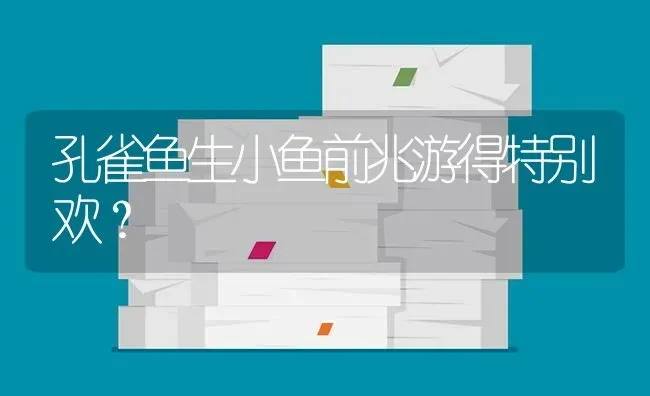 孔雀鱼生小鱼前兆游得特别欢？ | 鱼类宠物饲养