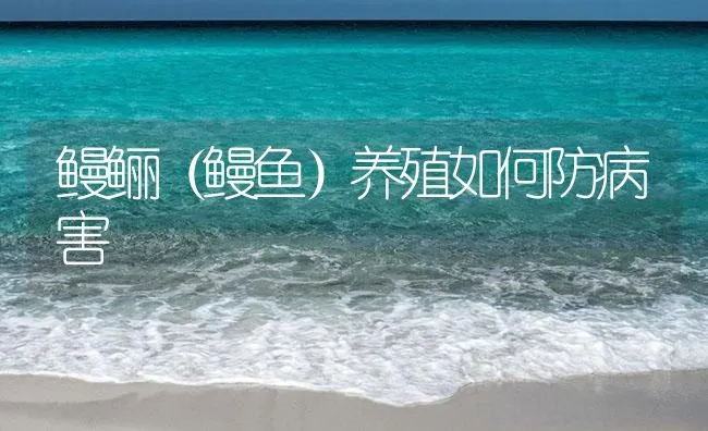 鳗鲡（鳗鱼）养殖如何防病害 | 海水养殖技术