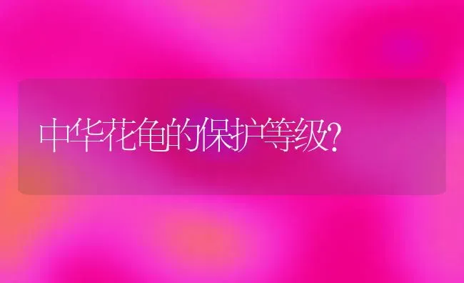 中华花龟的保护等级？ | 动物养殖问答