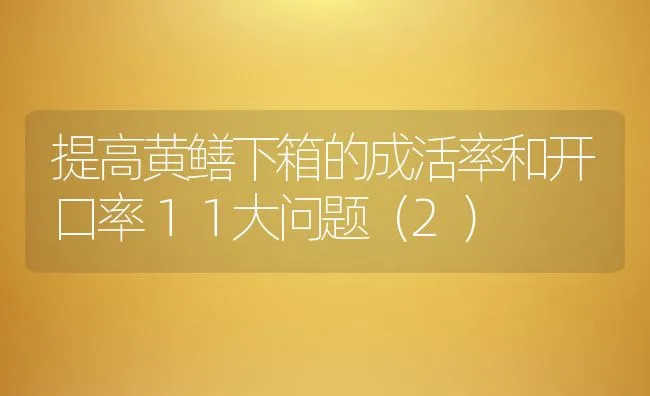 提高黄鳝下箱的成活率和开口率１１大问题（2） | 动物养殖饲料