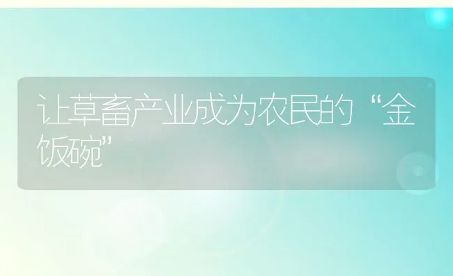 让草畜产业成为农民的“金饭碗” | 动物养殖饲料