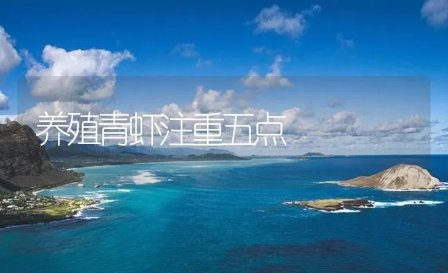 养殖青虾注重五点 | 海水养殖技术