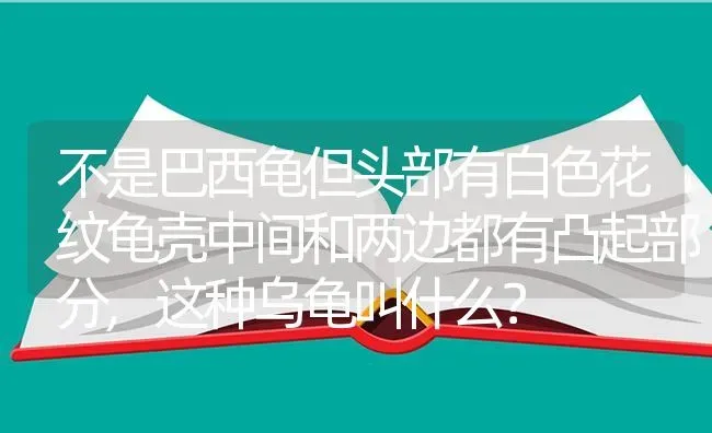 狗狗的了犬瘟，第九天了，现在开始抽搐怎么缓解？ | 动物养殖问答