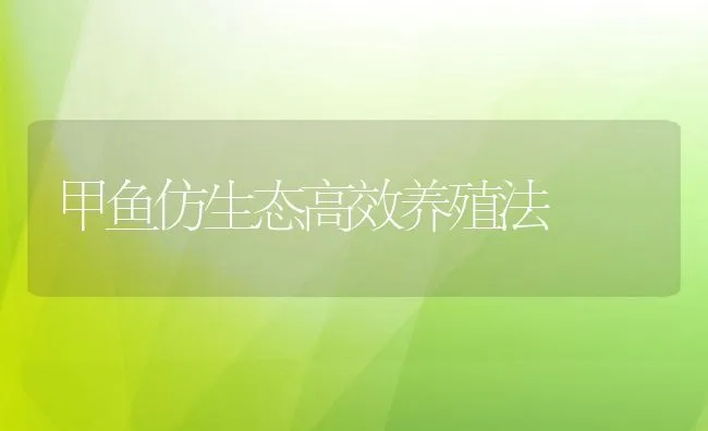 甲鱼仿生态高效养殖法 | 动物养殖学堂