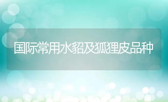 临产母猪饲养方面应关注的4要点 | 动物养殖学堂