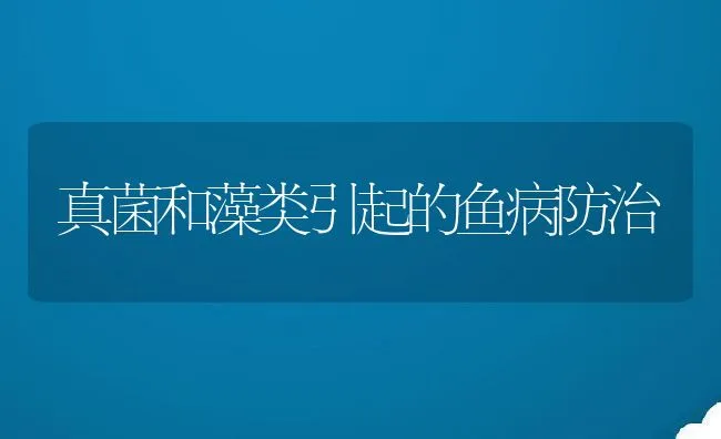 真菌和藻类引起的鱼病防治 | 水产养殖知识