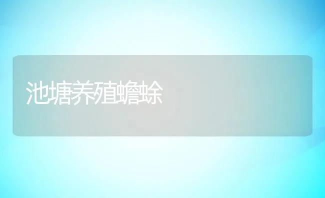 池塘养殖蟾蜍 | 动物养殖学堂