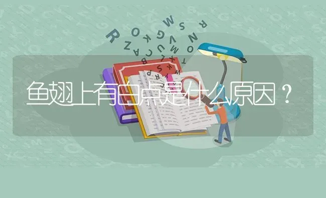 鱼翅上有白点是什么原因？ | 鱼类宠物饲养