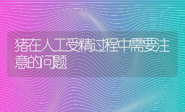 猪在人工受精过程中需要注意的问题 | 动物养殖学堂