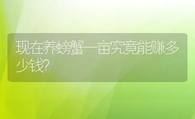 现在养螃蟹一亩究竟能赚多少钱？ | 动物养殖百科