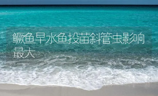 鳜鱼早水鱼投苗斜管虫影响最大 | 海水养殖技术