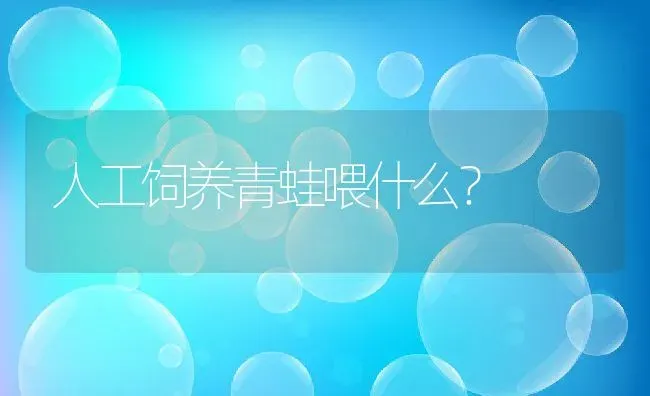 人工饲养青蛙喂什么？ | 动物养殖百科