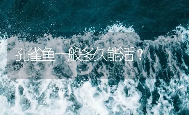 孔雀鱼一般多久能活？ | 鱼类宠物饲养