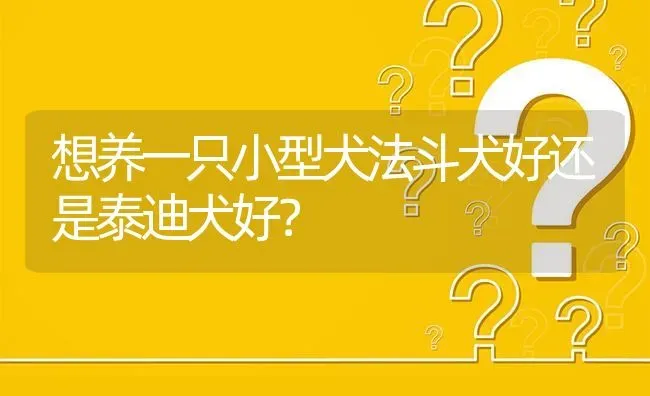 想养一只小型犬法斗犬好还是泰迪犬好？ | 动物养殖问答