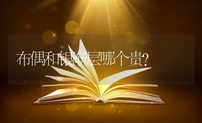 布偶和银渐层哪个贵？ | 动物养殖问答