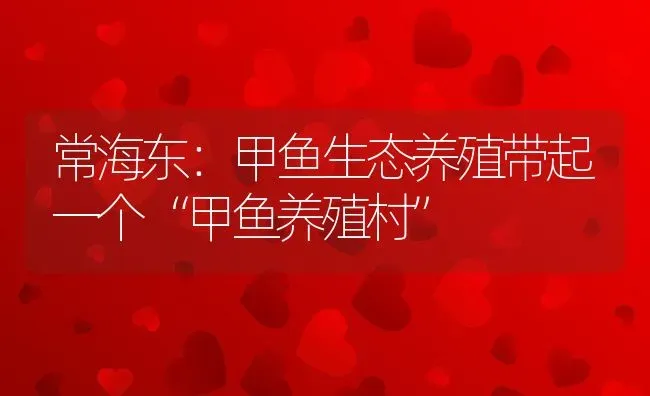 常海东：甲鱼生态养殖带起一个“甲鱼养殖村” | 动物养殖百科