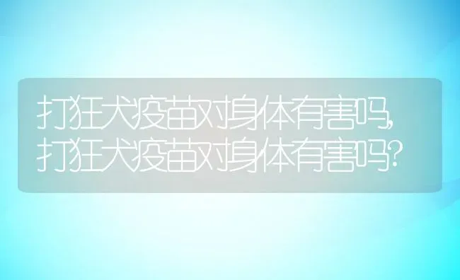 打狂犬疫苗对身体有害吗,打狂犬疫苗对身体有害吗? | 宠物百科知识