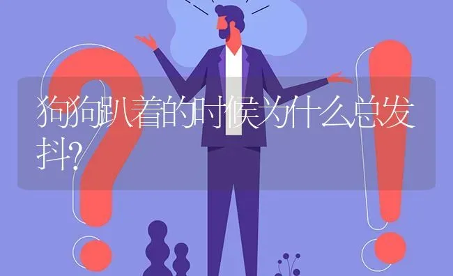 狗狗趴着的时候为什么总发抖？ | 动物养殖问答