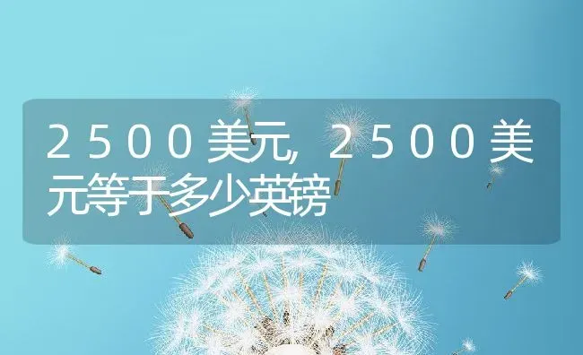 2500美元,2500美元等于多少英镑 | 宠物百科知识