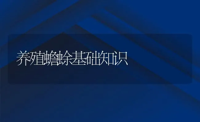 养殖蟾蜍基础知识 | 动物养殖饲料